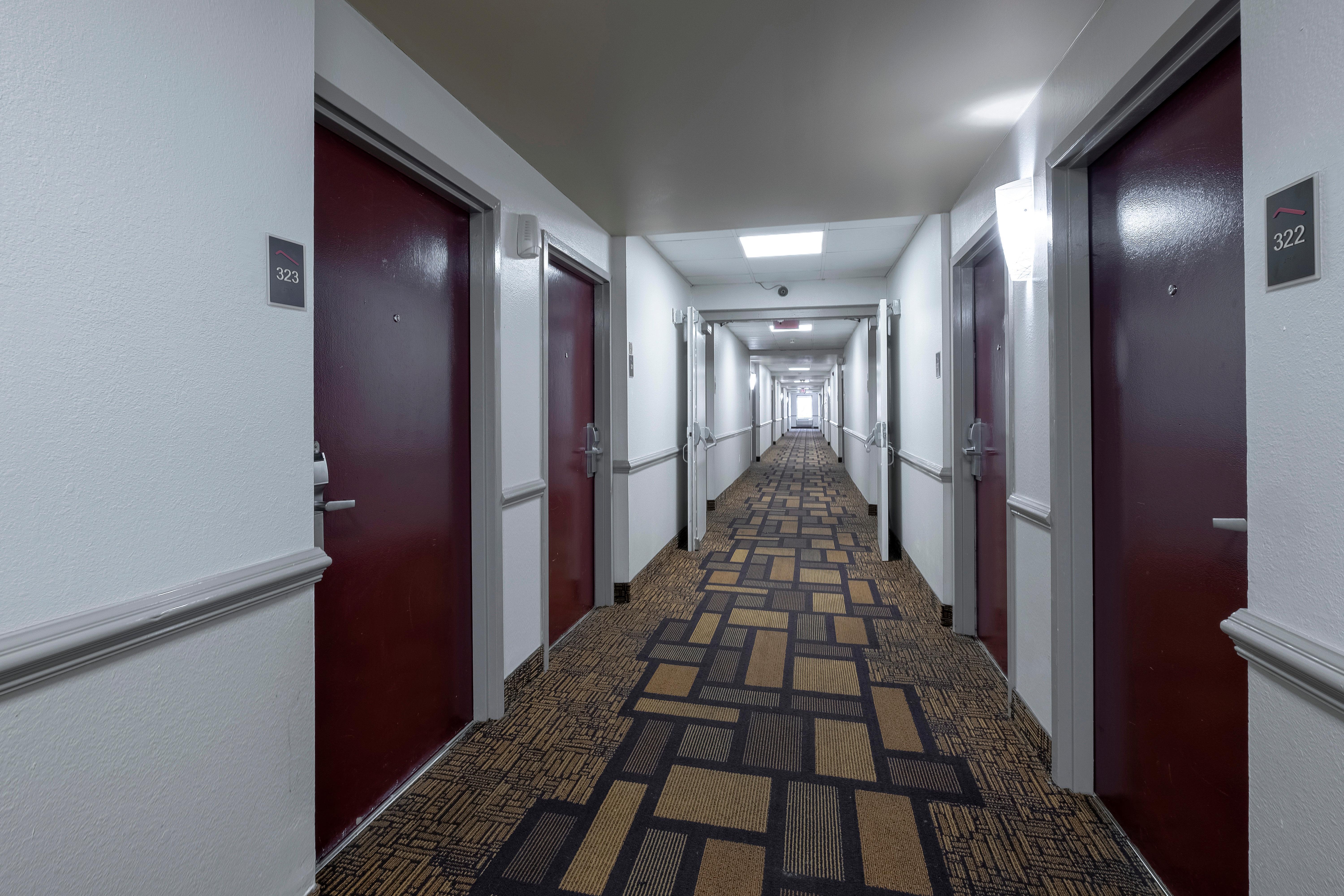 Red Roof Inn Raleigh North-Crabtree Mall-Lenovo Center Bagian luar foto